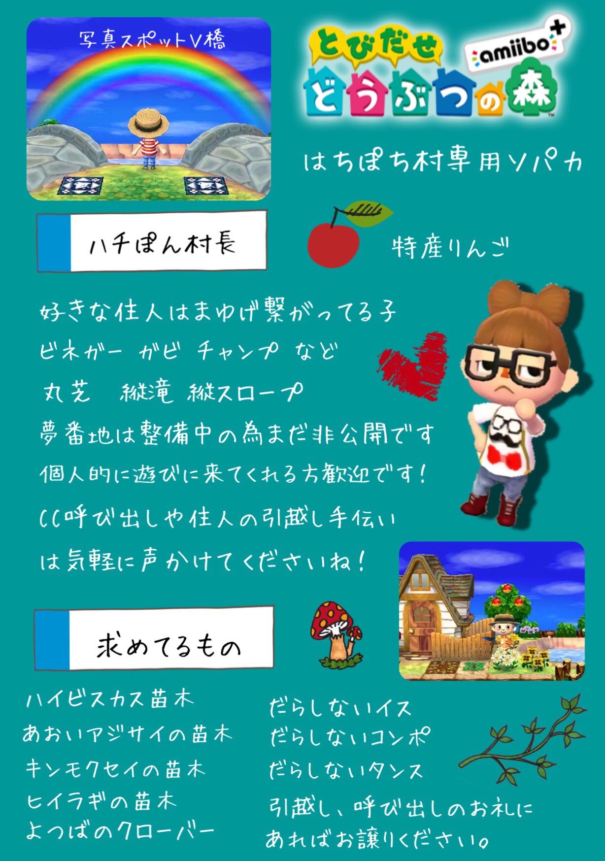 Amazon.co.jp: とびだせ どうぶつの森 amiibo+ (「『とびだせ