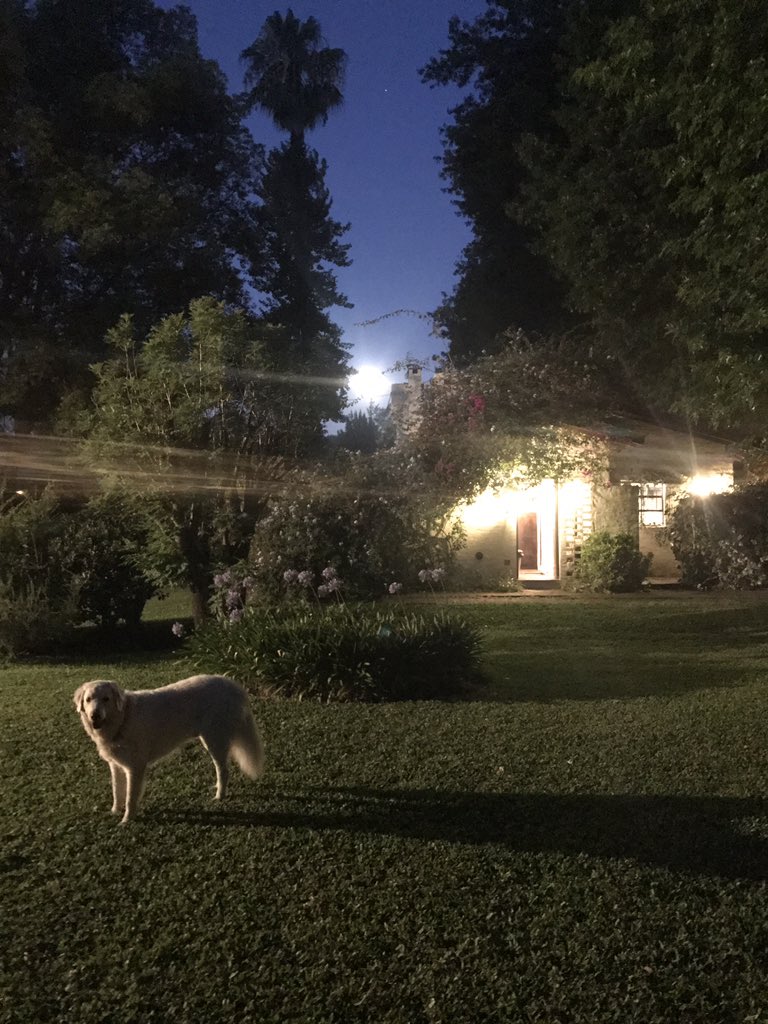 rodrigodorado's tweet image. Super lua. Super noite. Super ano! #feliz2018