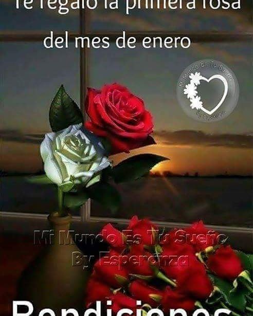 SaltosWillian's tweet photo. https://t.co/tEvFeAS7QB
