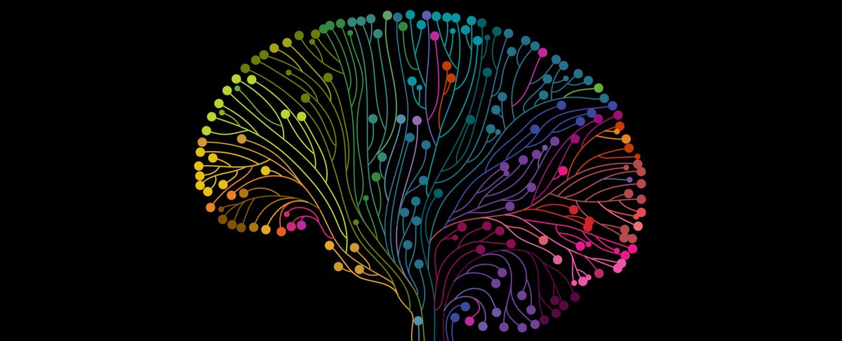 SolutionTree's tweet photo. "For students who struggle, including children of poverty, telling them to pay attention or try harder isn’t going to accomplish much if their brains are not working effectively or efficiently." - @EricJensenBrain https://t.co/YekRCaWZ6k #equity https://t.co/HOMqNq31iD