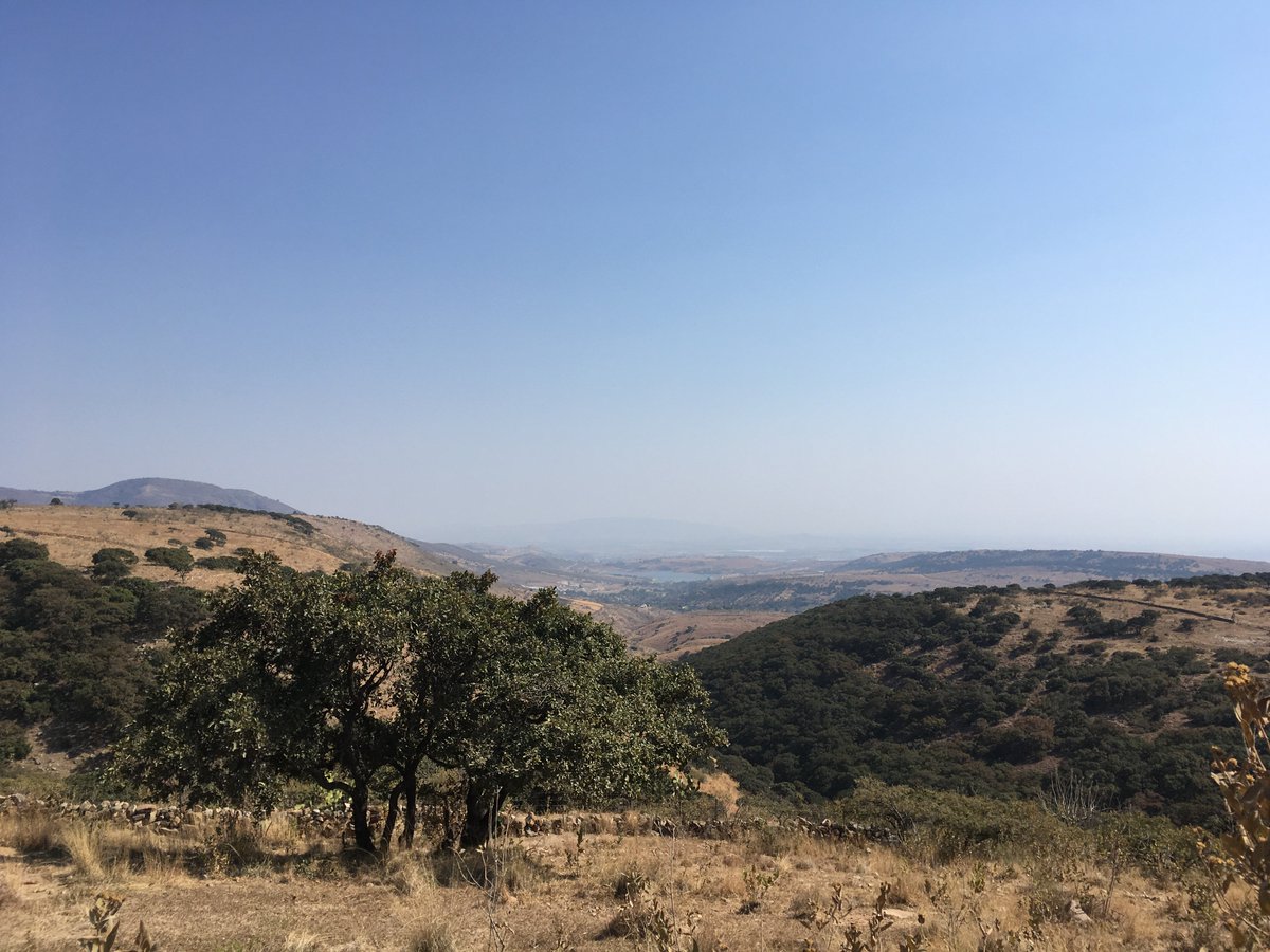 penjamo99's tweet photo. Had the opportunity to visit several ranches in Pénjamo today. Can’t wait to speak with my AP class. https://t.co/F6RKEIrAIf