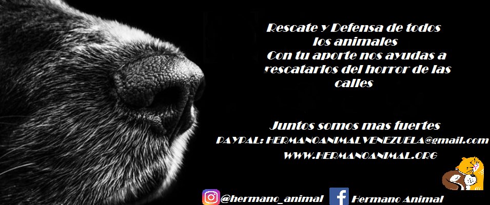 Un_mundo_Justo's tweet photo. Feliz año nuevo 2018 https://t.co/INCSgapQMI