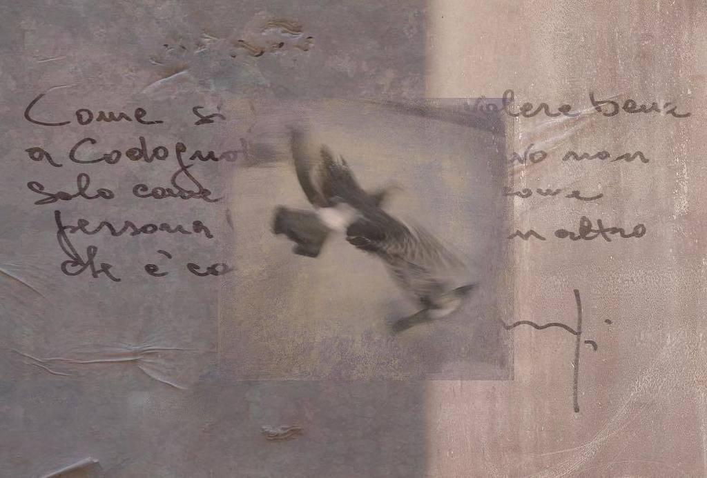 "For last year's words belong to last year's language.
And next year's words await another voice.
And to make an end is to make a beginning."
~ T.S.Eliot 
Here’s to soaring into 2018 and all the stories to be told!🥂 #newyear2018 #rome #italy #wanderlusting #seetheworld #mytr…
