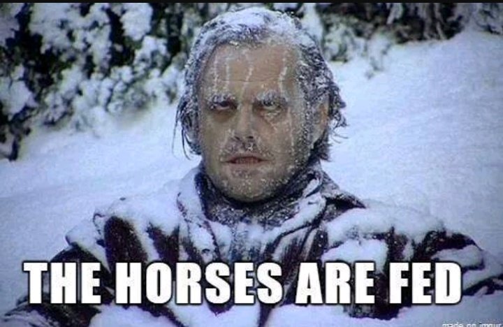 Knees2NoseBasis's tweet photo. Retweet if you feel personally victimized by this weather https://t.co/XYT8plMi2q