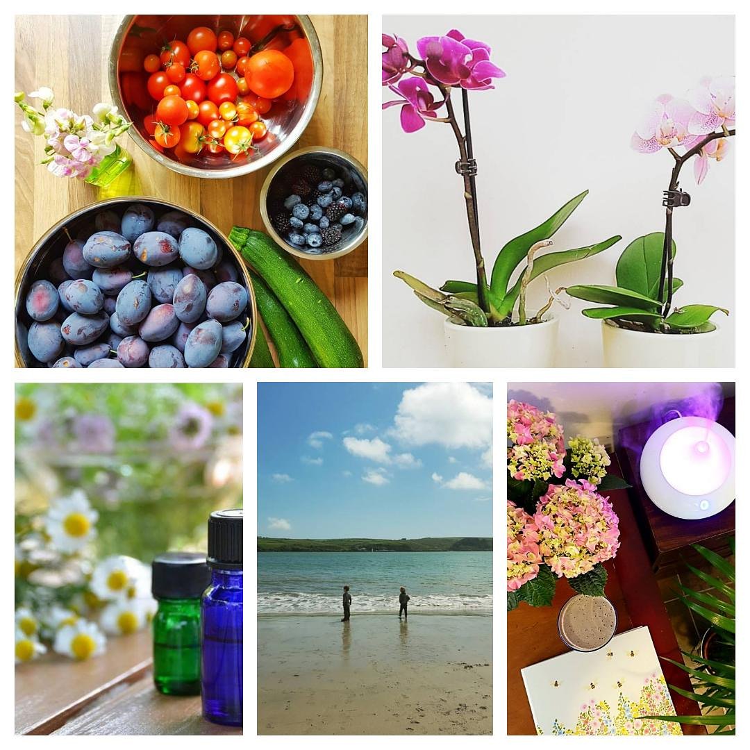NickyGHnyro's tweet photo. What were your #FiveFaves of 2017? Diet, house, brain, family, business... https://t.co/L60koF8p1g