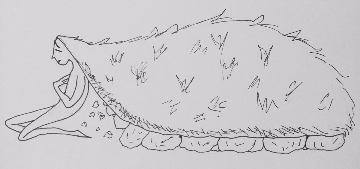 chailattemusing's tweet photo. One of my goals for this year is to stop being scared to show off my art even when it's not that great. We'll start with these: concept sketches for an Irish banshee that lives in the famous burial mounds. https://t.co/xZ2GYUzynZ