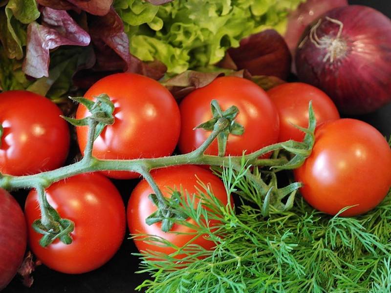 TOIFood's tweet image. Here's Why Storing #Tomatoes In The Fridge Is A Bad Idea!
recipes.timesofindia.com/articles/food-…