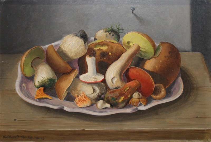 rabihalameddine's tweet photo. Niklaus Stoecklin. Forest mushroom still-life. 1943 https://t.co/1xIlSOUtnr