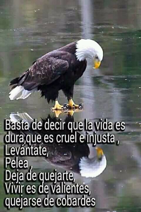 M_Shande's tweet photo. https://t.co/oo898dLLAX