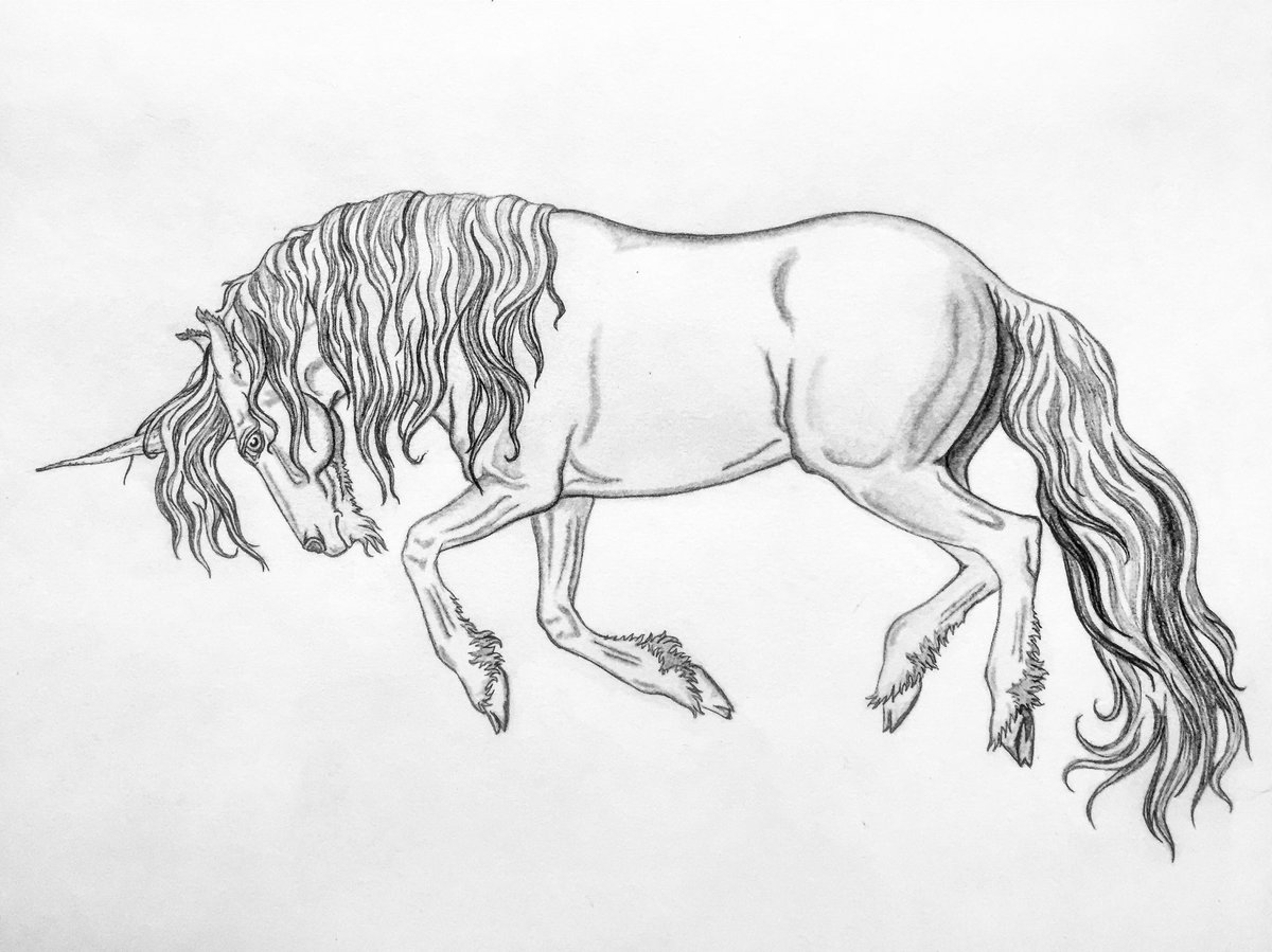 simply_sunshiny's tweet photo. Happity New Year's!! I hope your 2018 is fantastic!
#art #horse #unicorn #fantasyart #pencil #newyear #cuteart #pony #drawing #artwork #artist #artistic #equine #unicorns https://t.co/5czUy2tjVE