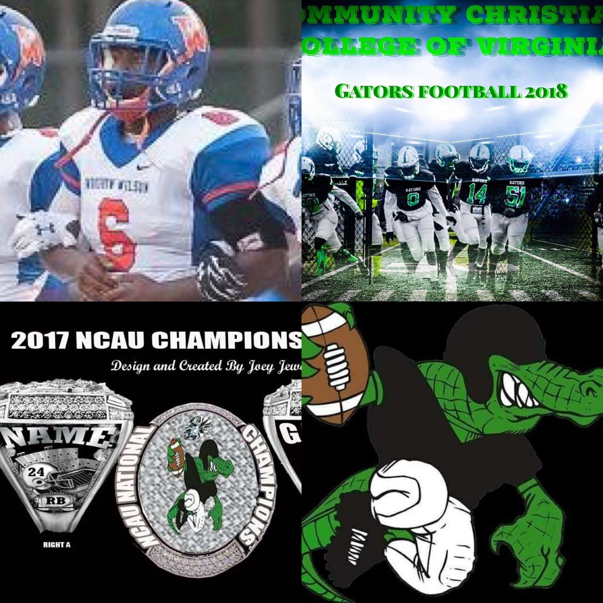 CCCAGators's tweet photo. #OfficialCommitment by RB/LB out of Wilson HS in VA @LaidesLuv_TeD #ALLBITE #GatorNation18 #BiteDown18 #CCCVAGatorsFootball https://t.co/O7k74oW13B