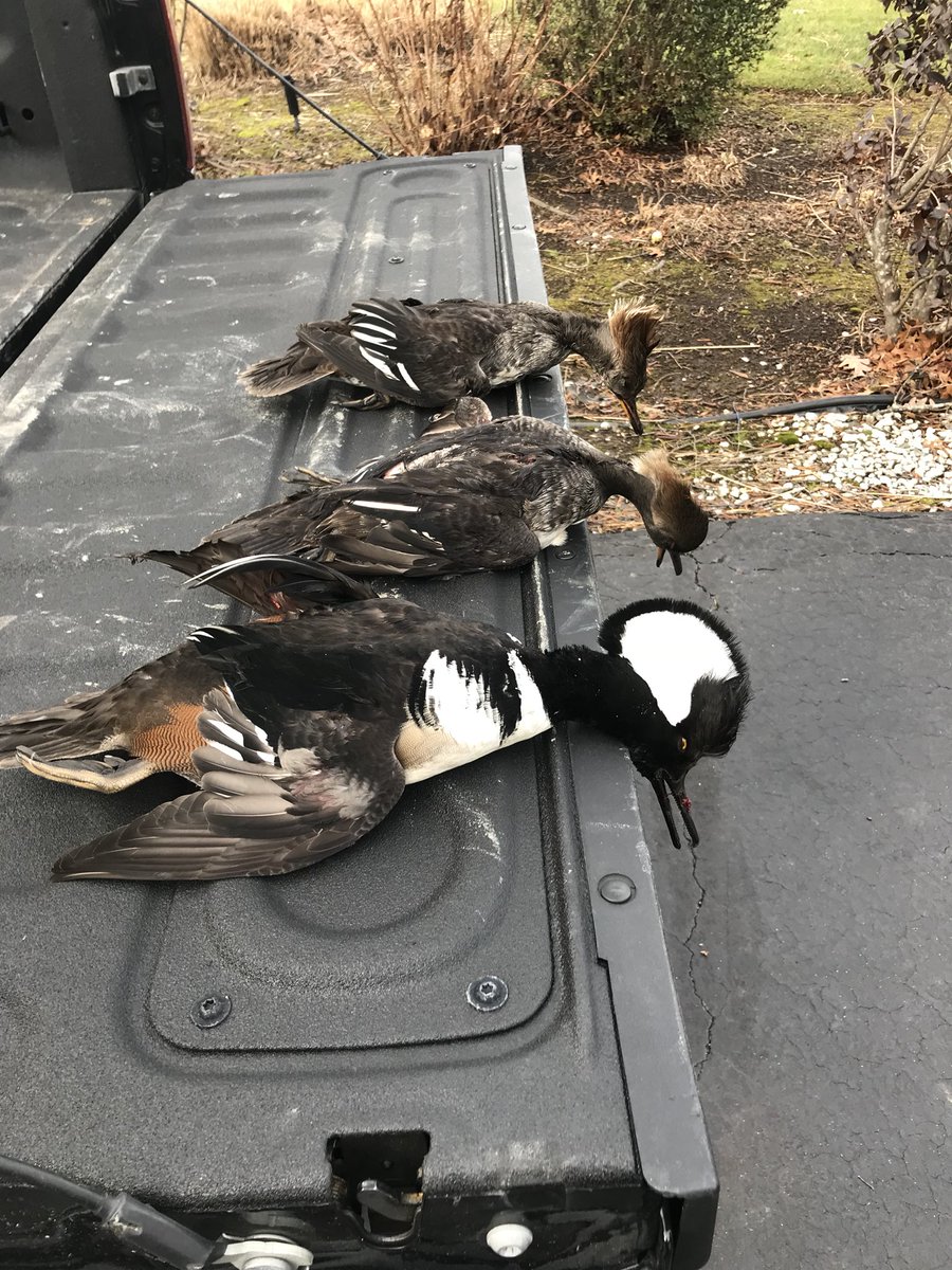 Submission Outdoors (@submsnoutdrs) on Twitter photo 