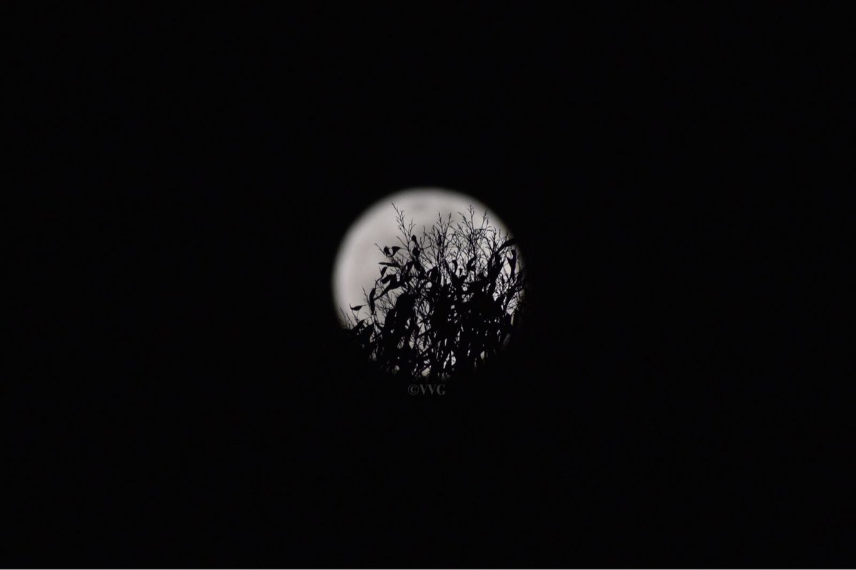 eclipsemood's tweet photo. estoy locamente enamorada de la luna https://t.co/0gH7n06RvA