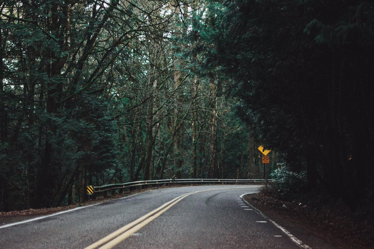 palindromeeee's tweet photo. PDX is pretty cute. https://t.co/S3jA0hVDvR