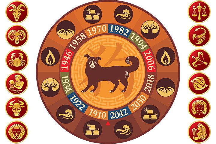 1961 какой год по восточному. Китайский гороскоп животные. Животные восточного календаря. Животные символы года. 12 Годов животных.