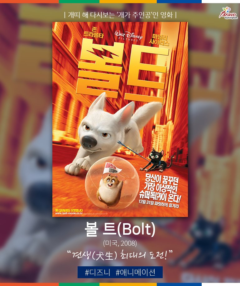 개는 사람과 더불어 사는 동물로🐕 2018년 개의 해 '무술년'을 맞아 개가 주인공인 영화를 소개합니다🐶 ☞경남공감 https://goo.gl/i7rhvp #마음이 #우리...