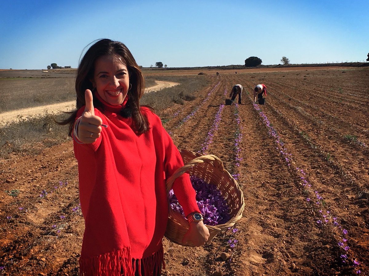 El próximo domingo con @Aoralife te descubrimos el secreto de la #EternaJuventud que esconde nuestro <a href="/DOPAzafran/">DOP Azafrán de La Mancha</a>
