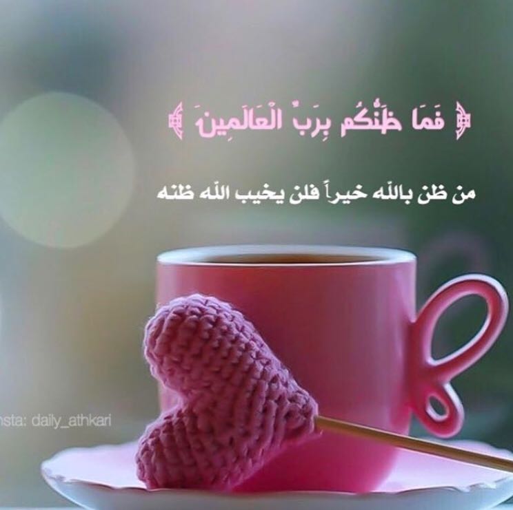 sh_Alshaamsi's tweet image. #سنة_2018_بكلمتين 
 💞🌸🌸