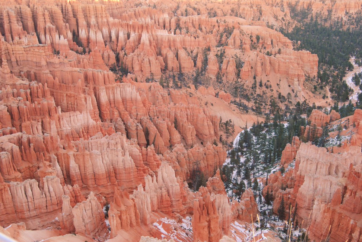 HotelInsonmia's tweet photo. Bryce Canyon, #Utah2017 https://t.co/8BZ6uA5OuB