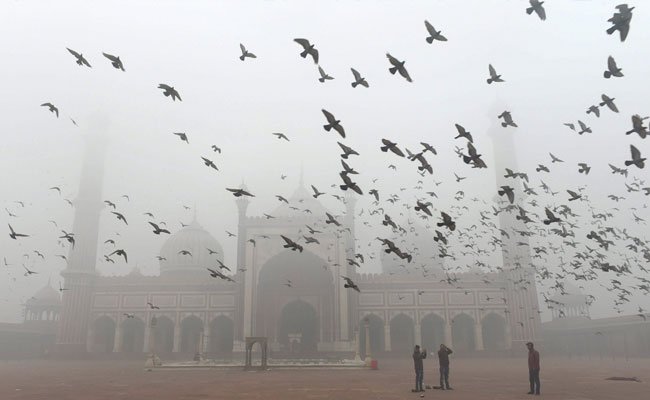 OurNcr's tweet photo. On New Year Day, Pollution On Edge Of Emergency Level In Delhi
https://t.co/teenjsaNaB
#Ourncr #Airpollution #Smog #DelhiAirPollution https://t.co/U0VWqvQKAu