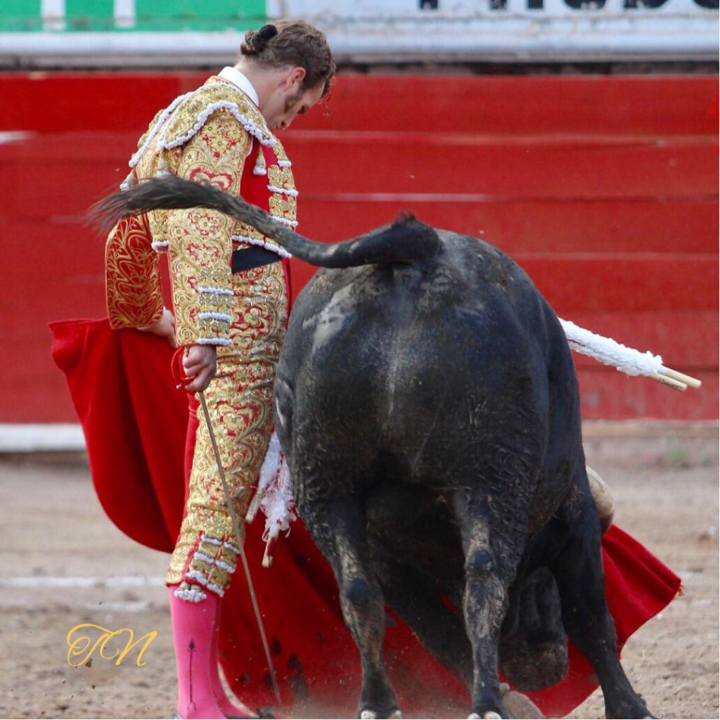 Triunfos de Macías, Payo y Saldivar en la provincia mexicana  desolysombra.com/2018/01/02/tri…