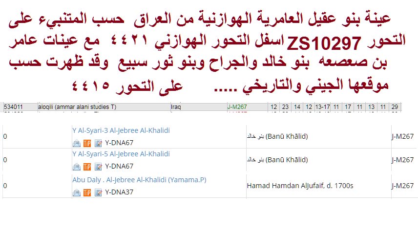 Abu Mohamed Alsardy tweet media