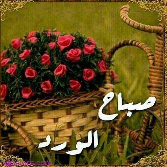 شقى 💔 ء (@hdf_tl) on Twitter photo 