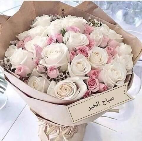 ata___a's tweet photo. @king_3_3_ صباح الوردات https://t.co/HTwLGYf6MZ
