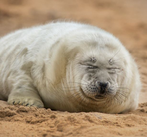 That ‘first day back at work after Christmas’ feeling.