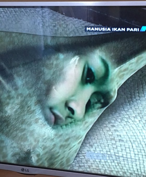  Anak  Yang Dikutuk Jadi  Ikan  Pari 