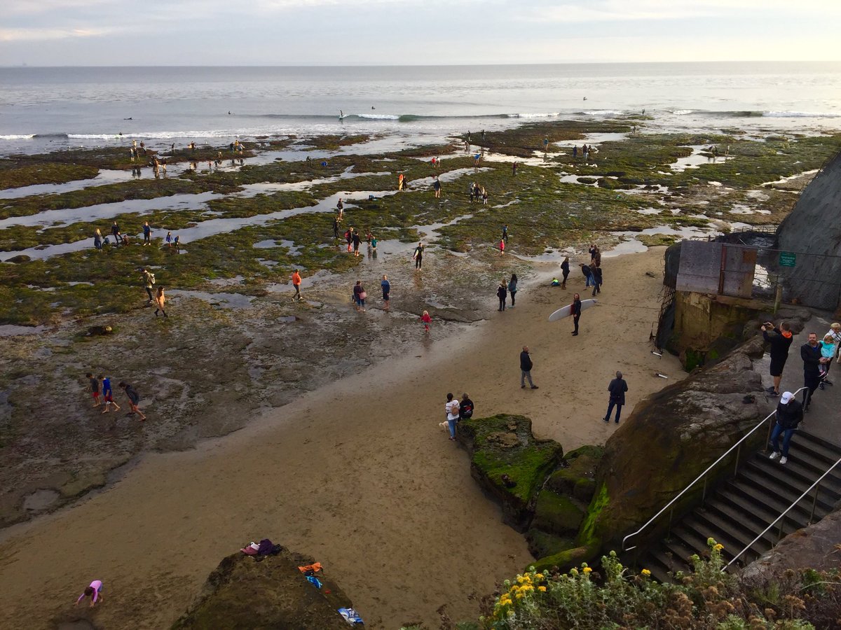 hotsandusa's tweet photo. 01/01 @2deepsports (SANTA CRUZ CA) Happy New Year surf check - King tide at #PleasurePoint!
#2deepsports #2deepsportswear #SandByChoice #volleyball #beachvolleyball #surf #wsl #SurfByChoice #GoPro #GoLive #hydroflask https://t.co/lnviCIw83R