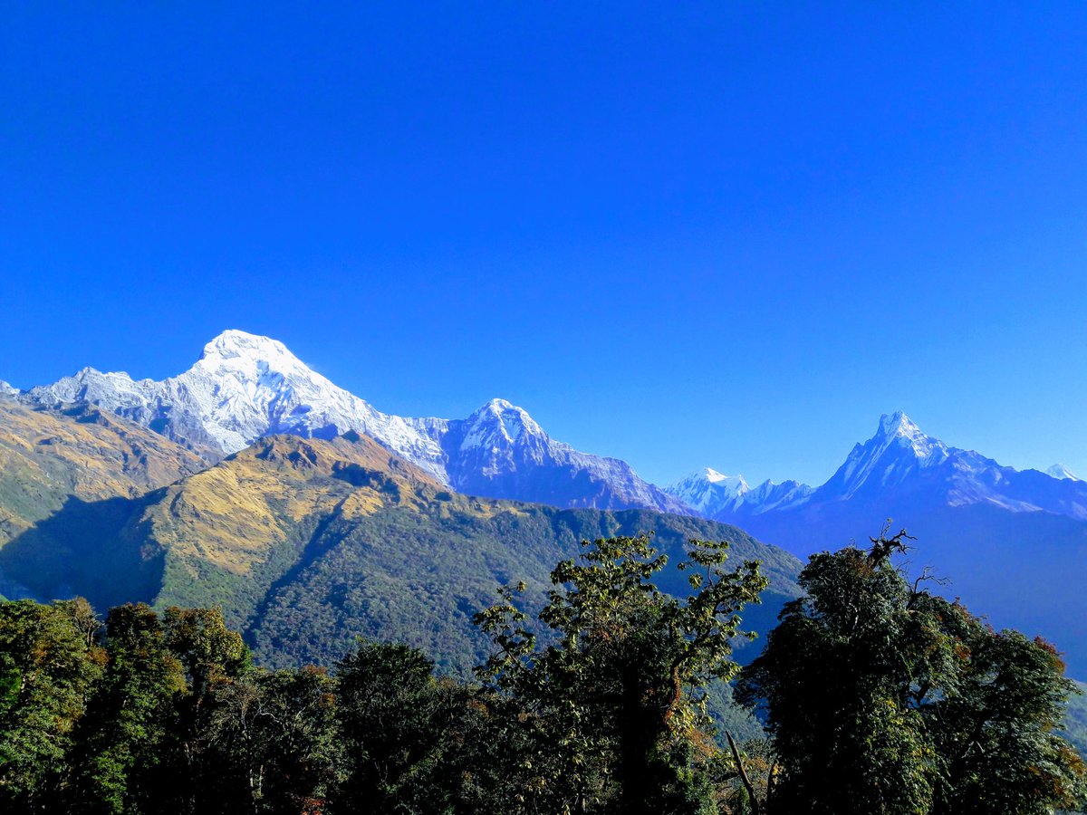 RijalResham's tweet photo. Wondering around Annapurna himalayas.
#Nepal #Annapurna #wonderer #happyMountain #beautifulmountain #IncredibleNepal #trekking #wanderlust #mountain #Nepal #nepalNow #backpacking #hiker #mypride #Ghandruk #abcadventure #adventurelife #lifeofguide #trekWithMe #adventurewithme https://t.co/rkWMfRgiKM
