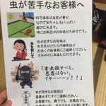 虫が苦手なお客様へ・・・自然豊かな旅館の注意書きが面白い!