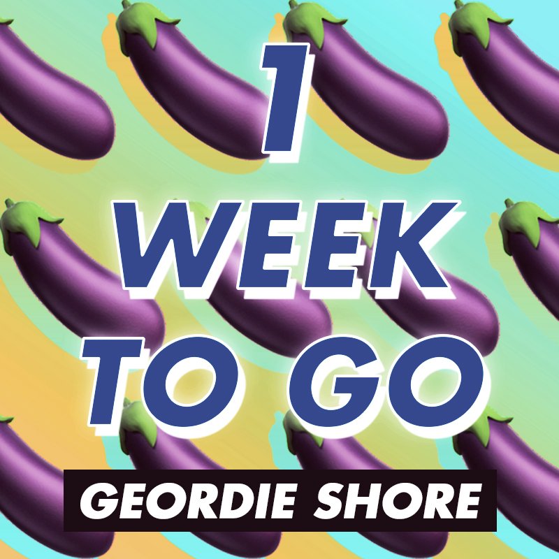 MTVAcaShore tweet media