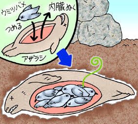 「独身男性の皆さん、まだ~」から始まるキビヤックのすすめ「製造や流通の手間を考えると…」 - Togetter