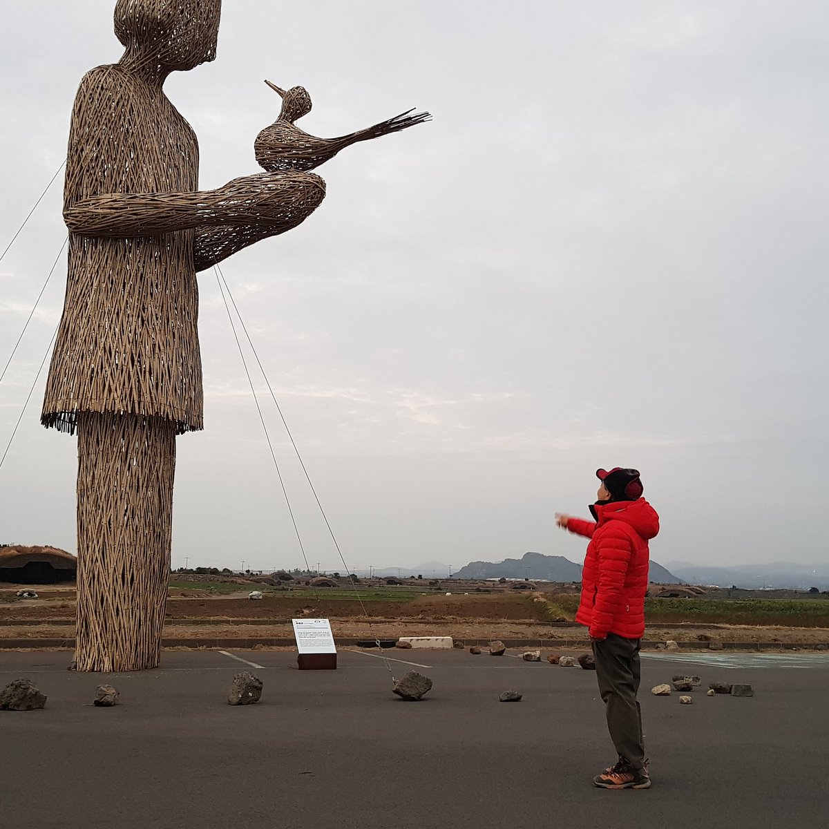 제주
평화의
파랑새
