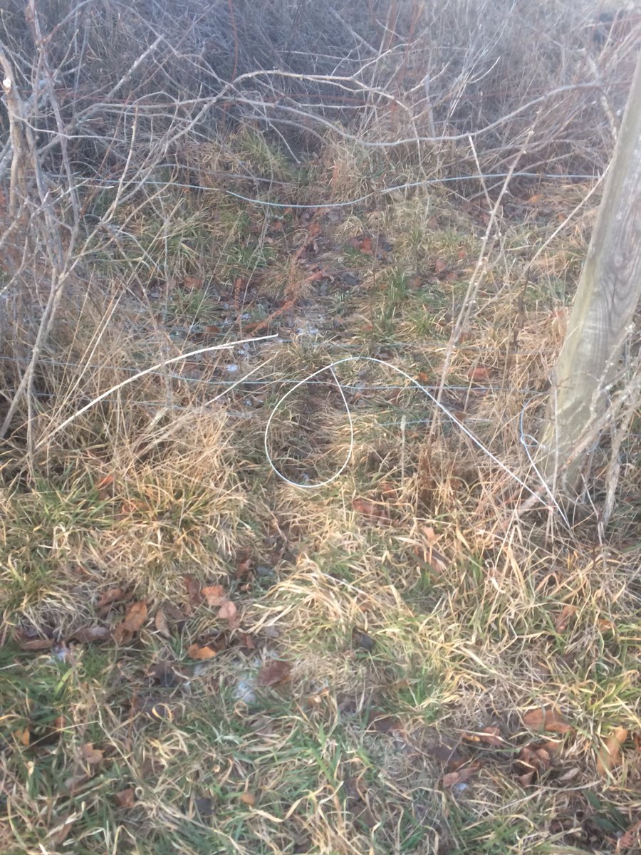 First year trapping,Couple sets i made yesterday gonna go check them after sun up !!