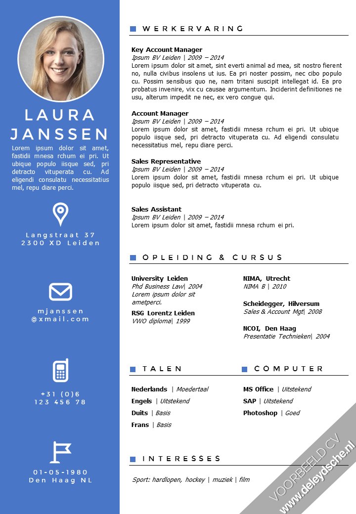template curriculum vitae kopen CV  Twitter Leydsche (@DeLeydsche)  De
