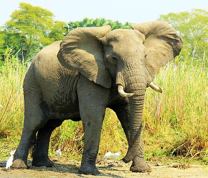 Baobab Travel tweet media