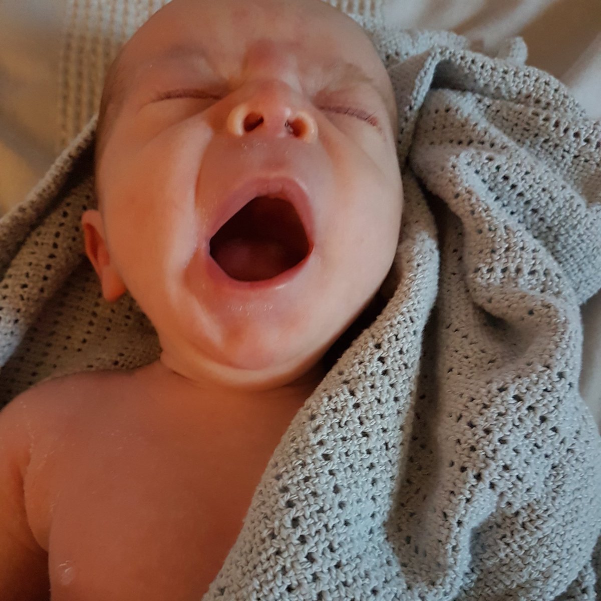 Lea_keany's tweet photo. Totally feel for people going #backtowork today after the festive break - God knows how I'll feel when I have to go back! #maternityleave #mumproblems #sleepyhead https://t.co/d8w1JIUXzu