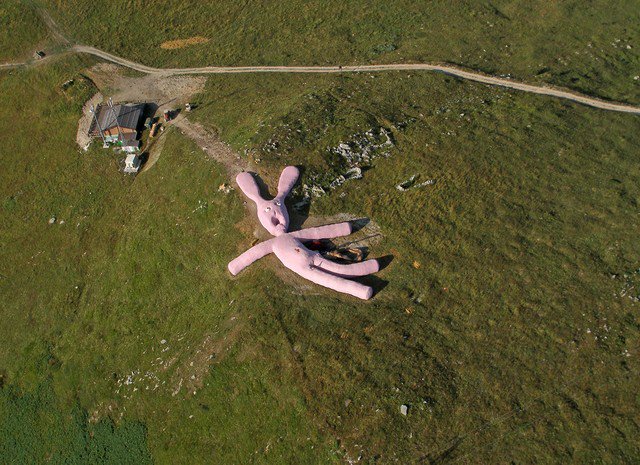 EddyPinkk's tweet photo. Real @Google rabbit! 😱 https://t.co/r8Z0rq1JiA
