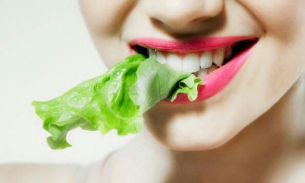 medicinalplanta's tweet photo. Plantas medicinales comestibles, observa todo sobre ellas https://t.co/93M7dvKsFx https://t.co/hQFti2Ear8