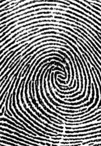 New Year Revolution 2018 hazelpaine.wordpress.com/2018/01/02/new…