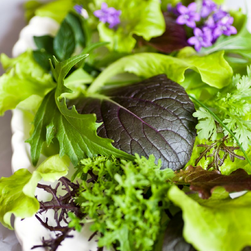 Nosh Garden Kitchen tweet media