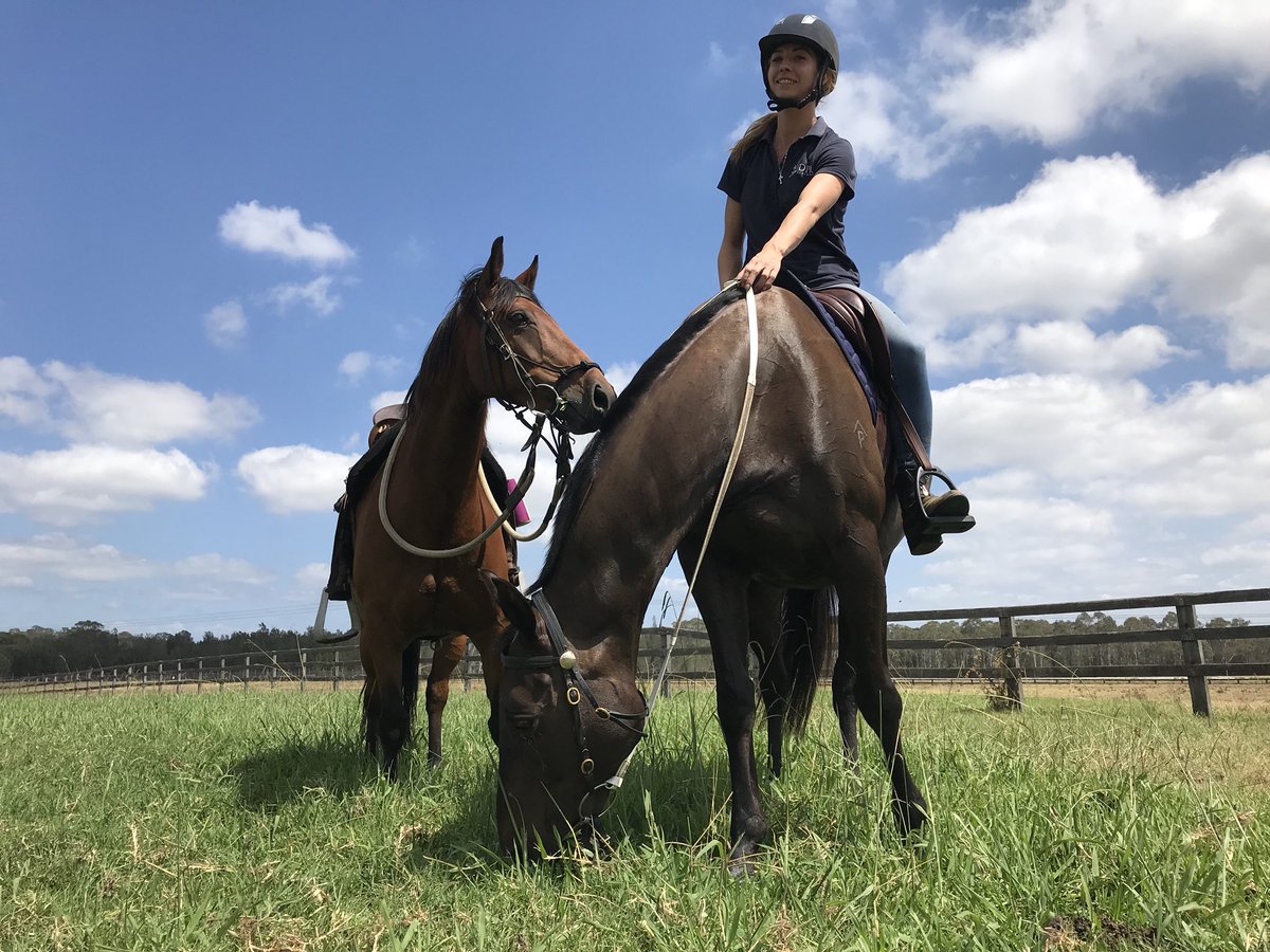 DPR_Breaking's tweet photo. Cheetah and Otis having a pick after their ride today. Getting ready for @MagicMillions beach day. #magicmillions #breakingseason https://t.co/0oeTneMo7d