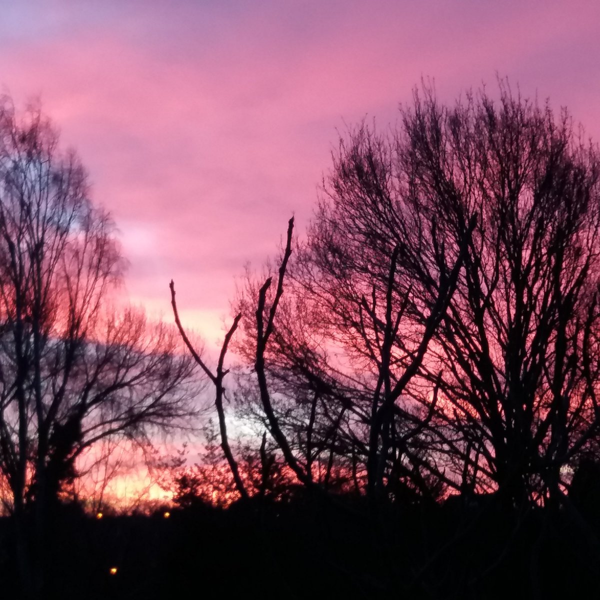 paperROSEdesign's tweet photo. GOOD MORNING JANUARY.

Beautiful sunrise this morning. Gorgeous hues and striking silhouettes. Looking forward to getting back to designing in 2018.

#inspiration #wedding #stationery #design #essex #goodyear  #backtoworktomorrow #silhouette #nofilter https://t.co/ZTRfPKN8gc