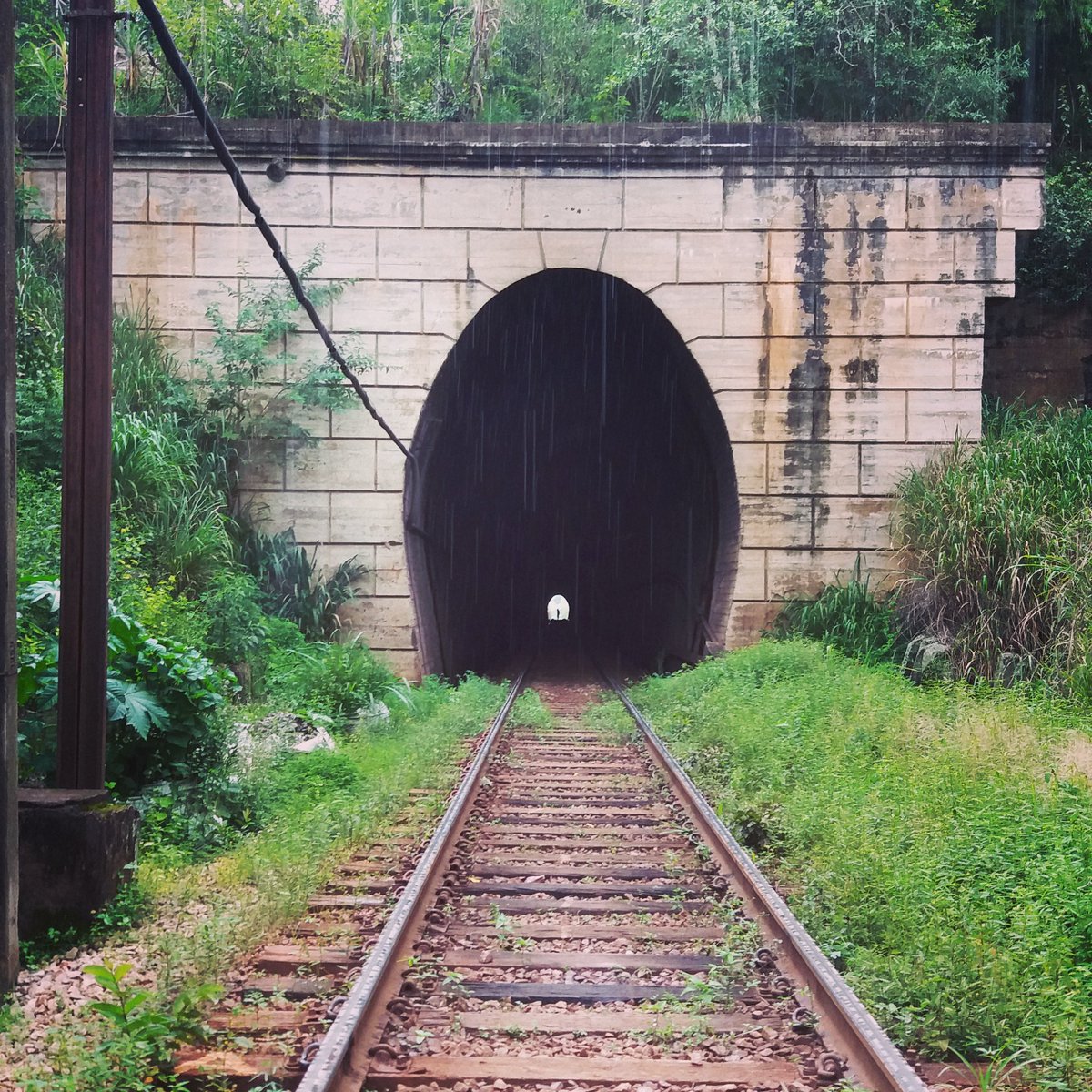 #Eisenbahn #BetaQuerLab #BetaQuerLabSegundou #OperacaoBetaLab #TimBeta #BetaSegueBeta Eisenbahn com uma fina camada de chuva! 🚉