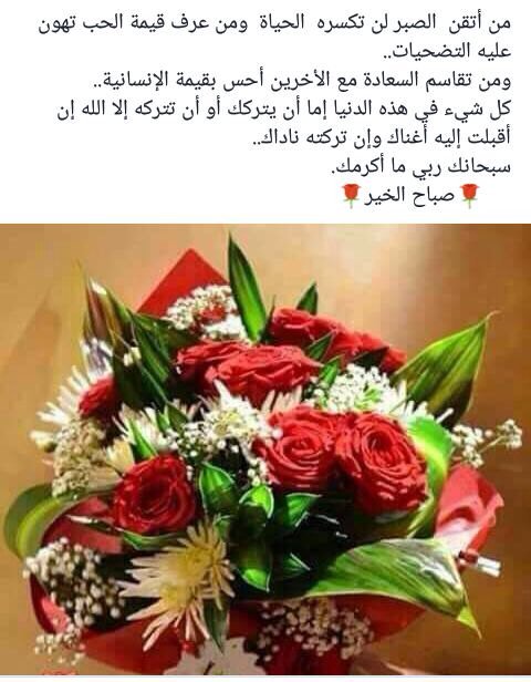 Husam (@tmfbm95yu1cline) on Twitter photo 