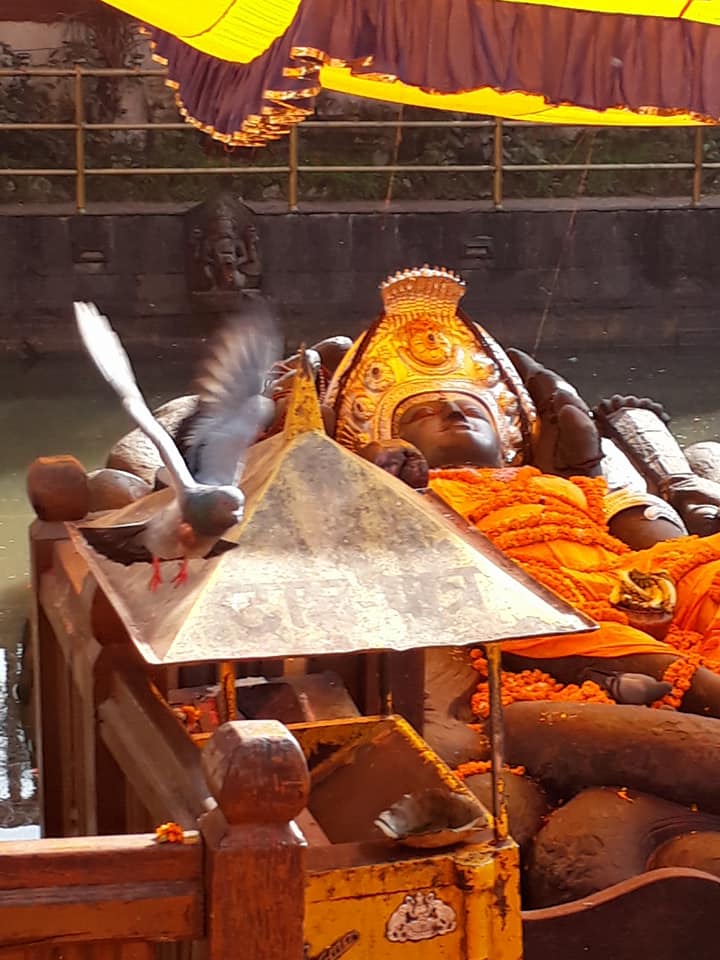 incentivehldys's tweet photo. Budhanilkantha Temple is located in Budanilkantha, @Nepal, a #Hindu open air temple dedicated to #LordVishnu. Temple is situated below the Shivapuri Hill and can be identified by a large reclining statue of Lord Vishnu which is considered as the largest stone carving in #Nepal . https://t.co/UgO8KTIbEY