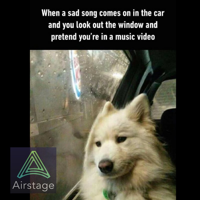 #Music #Musicvideo #Lol #Dogs
